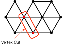 A vertex cut.